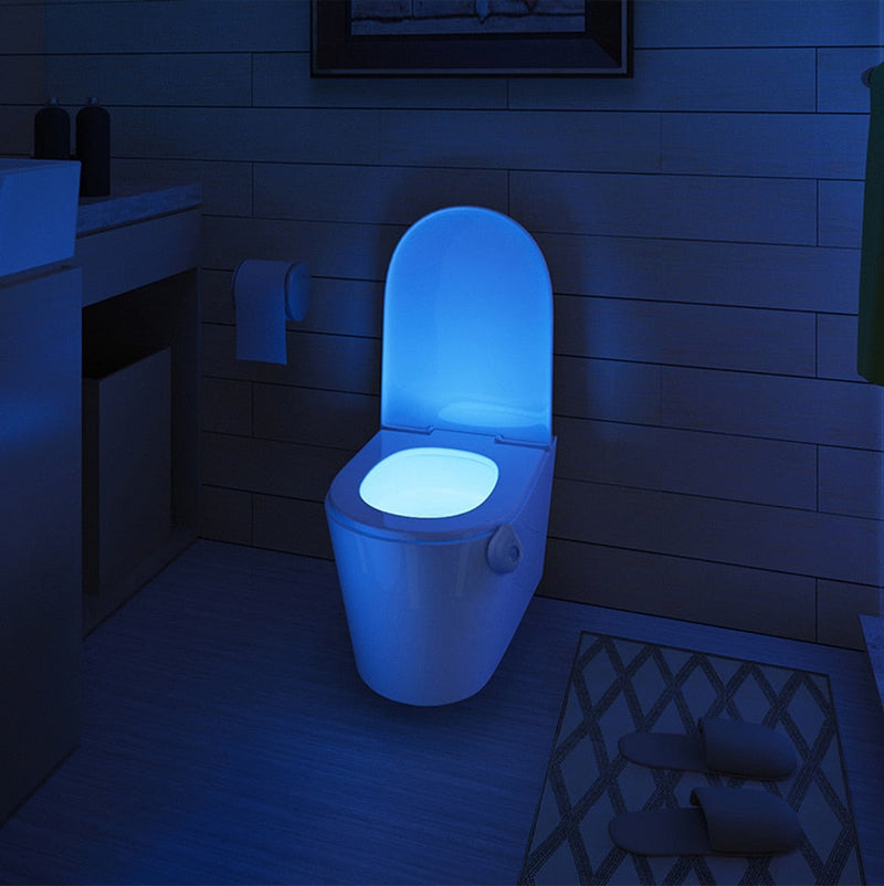 Toilet Night Light Motion-Sensor LED - client345